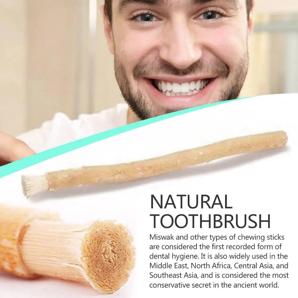 Natural Miswak Toothbrush Stick